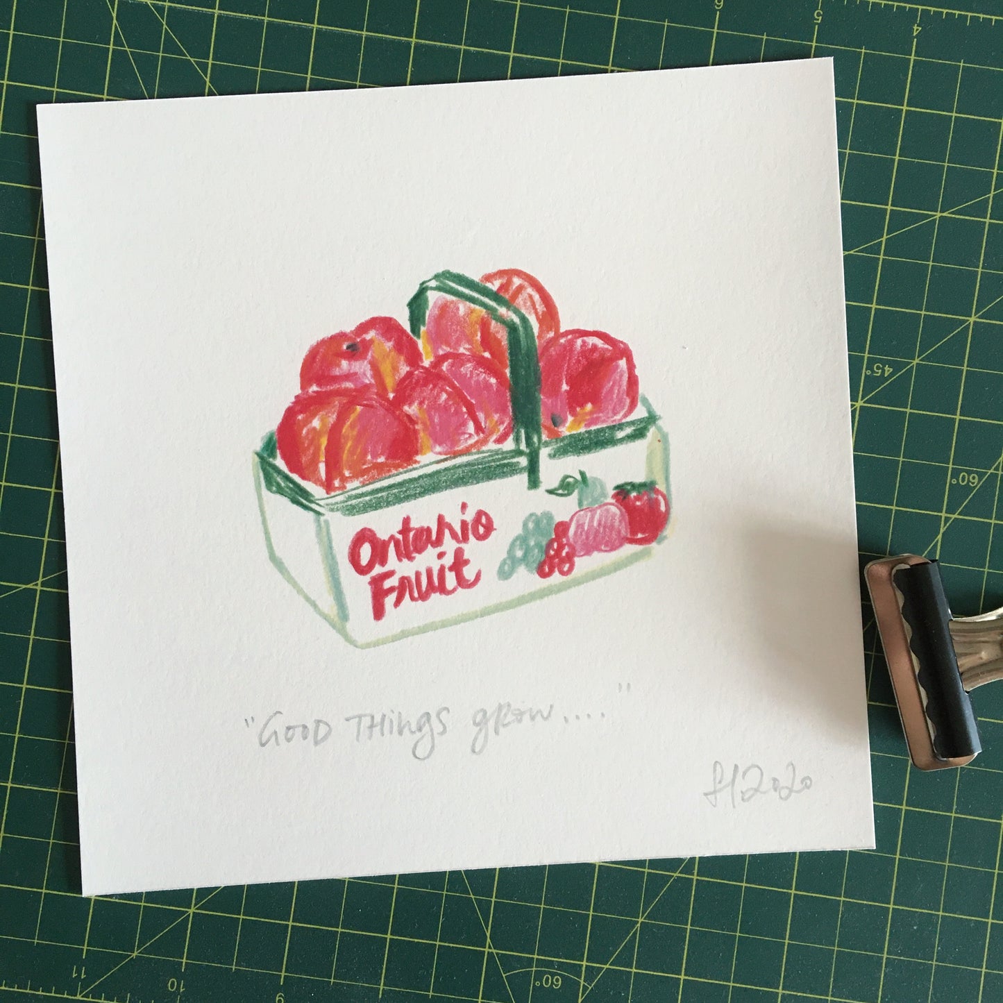 Ontario Peaches Print